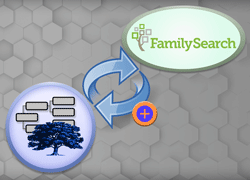 描繪此項目的圖像