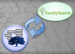 描繪此項目的圖像